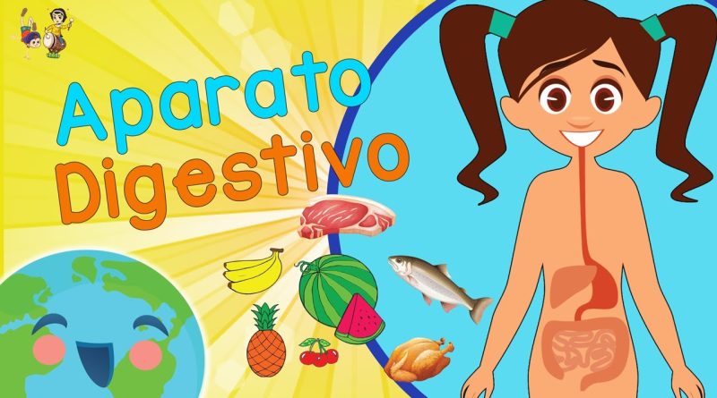 aparato Digestivo