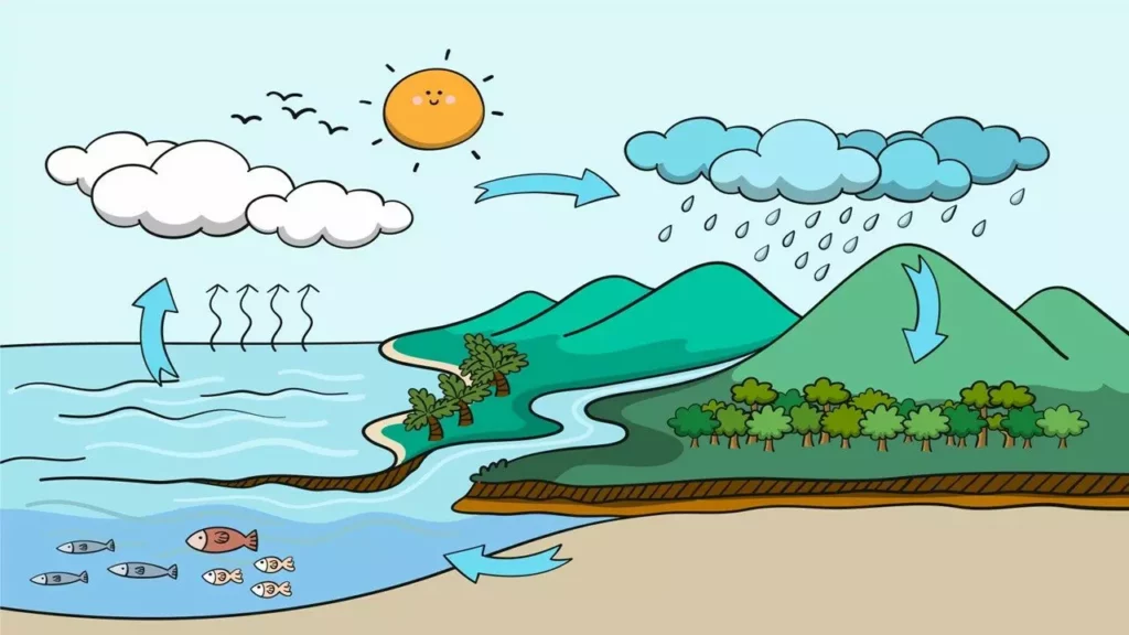 ciclo del agua