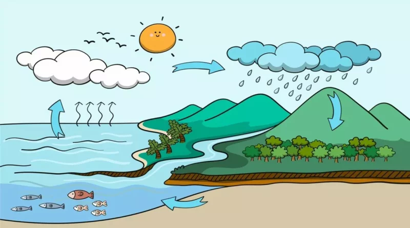 ciclo del agua